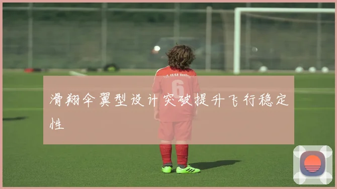 滑翔伞翼型设计突破提升飞行稳定性
