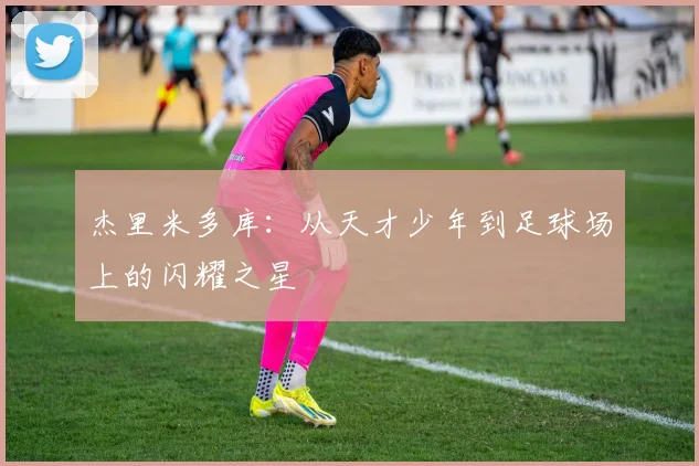 杰里米多库：从天才少年到足球场上的闪耀之星