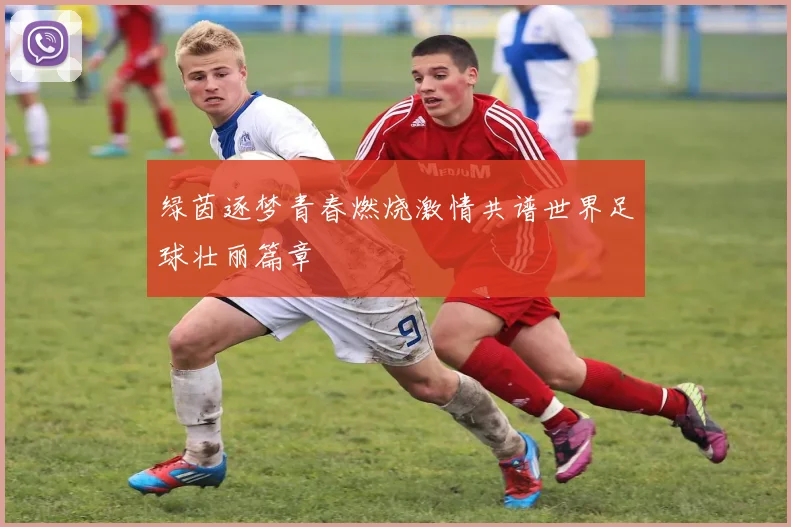 绿茵逐梦青春燃烧激情共谱世界足球壮丽篇章
