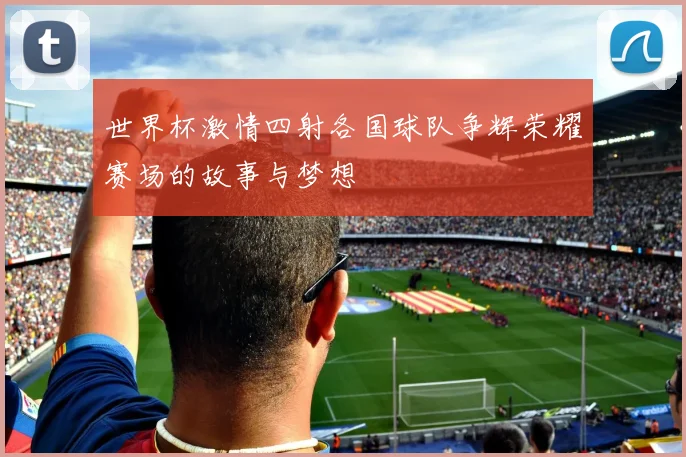 世界杯激情四射各国球队争辉荣耀赛场的故事与梦想