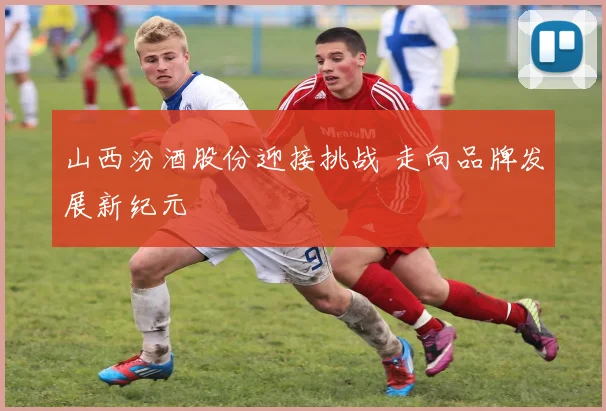 山西汾酒股份迎接挑战 走向品牌发展新纪元