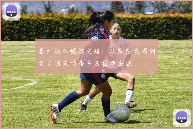 泰州战队崛起之路：从默默无闻到电竞顶尖的奋斗历程与成就