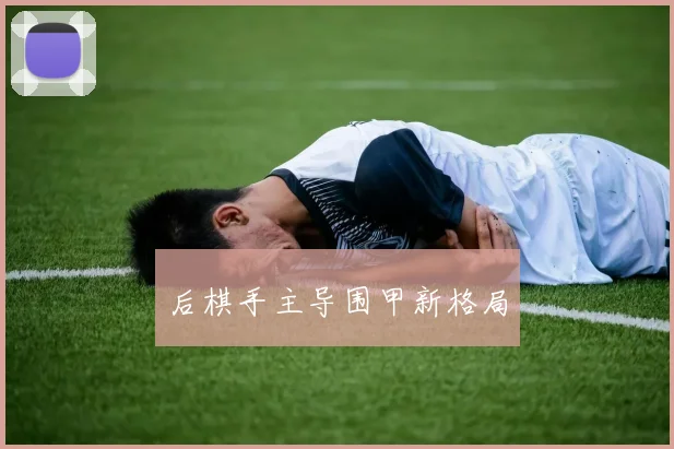 后棋手主导围甲新格局