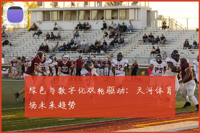绿色与数字化双轮驱动：天河体育场未来趋势