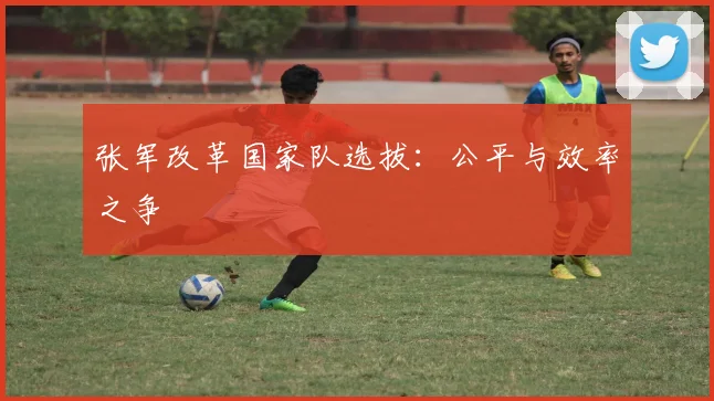 张军改革国家队选拔：公平与效率之争